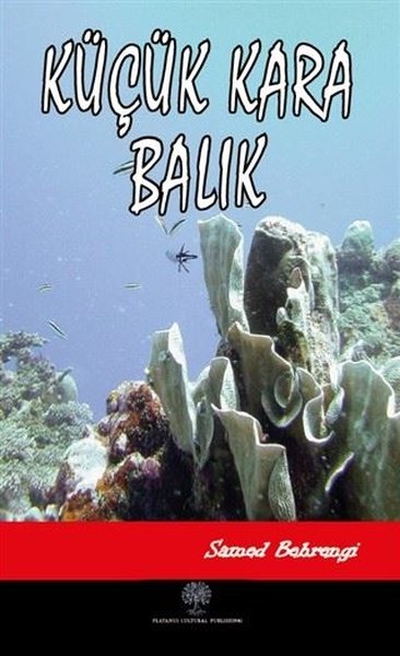 Küçük Kara Balık - Platanus Publishing Kitap