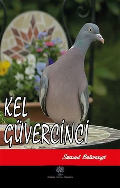 Kel Güvercinci - Platanus Publishing Kitap