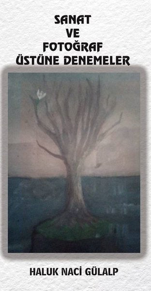 Sanat ve Fotoğraf Üstüne Denemeler - Platanus Publishing Kitap