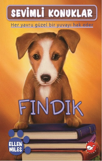 Sevimli Konuklar-5 Fındık – Beyaz Balina Yayınları kitap kapağı