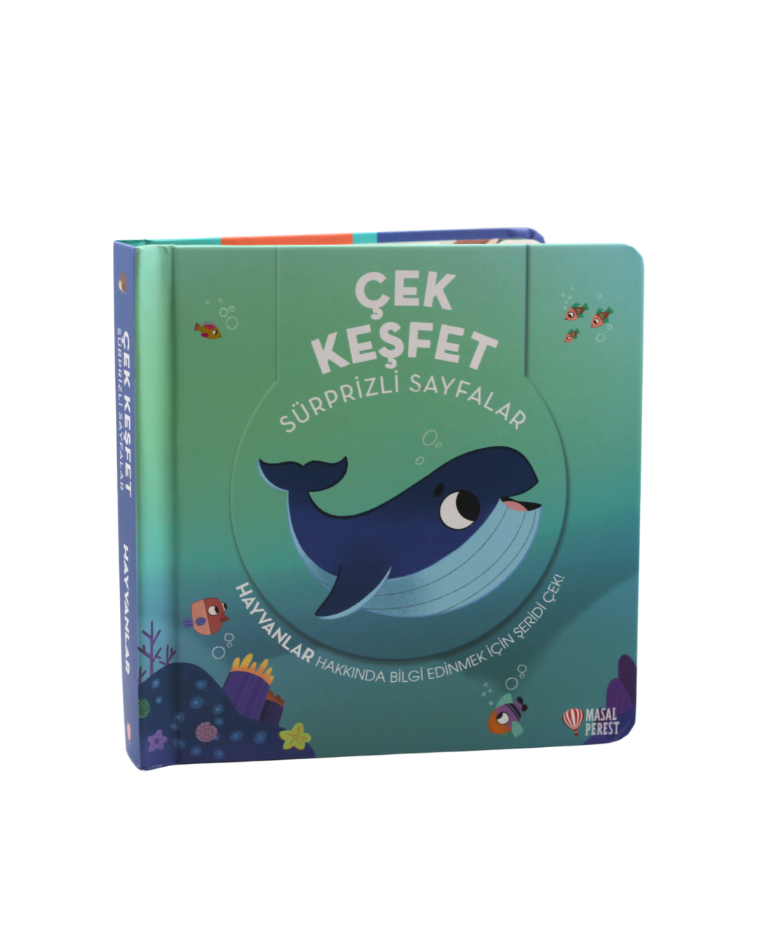 Çek Keşfet Hayvanlar – Masalperest kitap kapağı