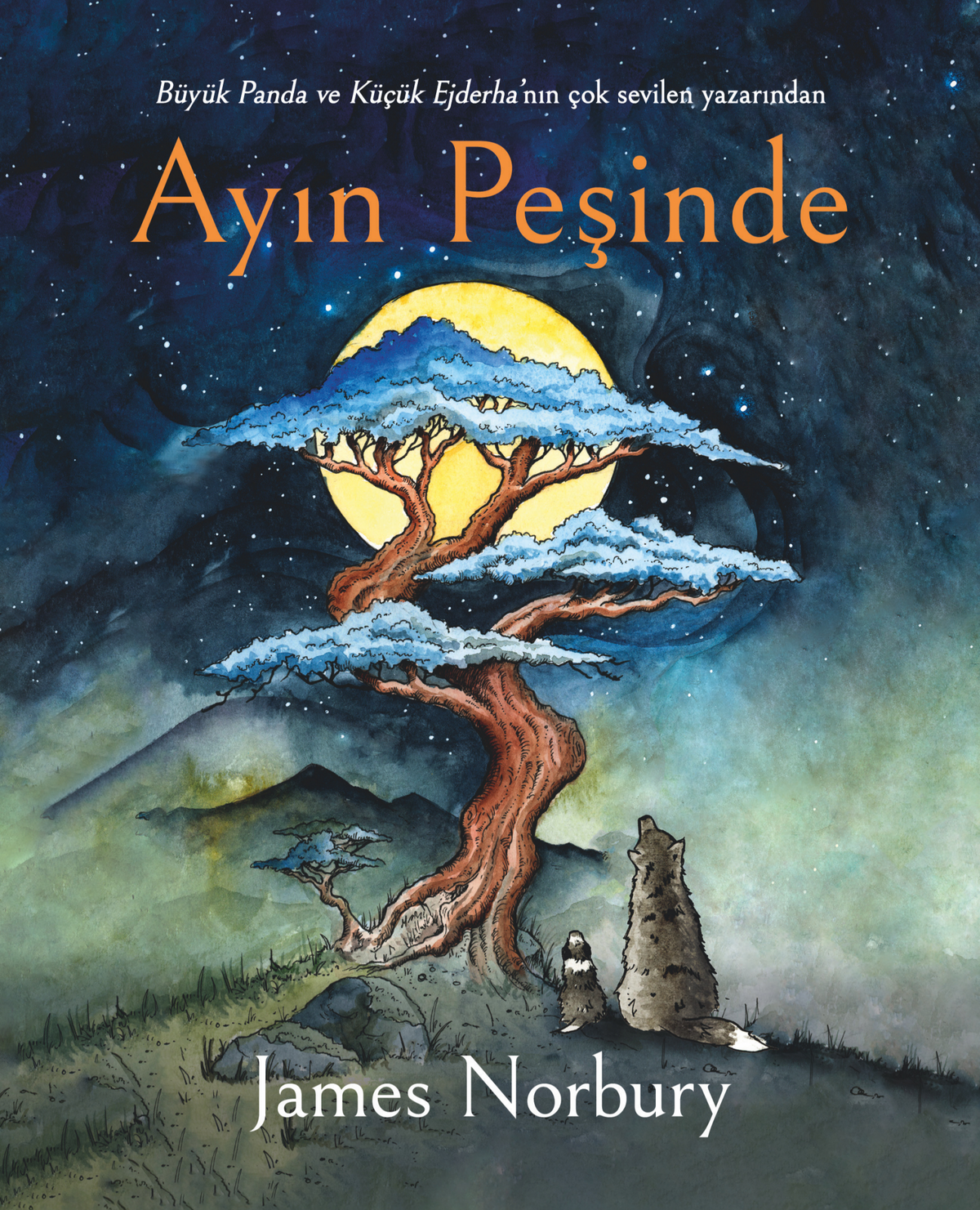 Ayın Peşinde - Ciltli – Epsilon Yayınları kitap kapağı