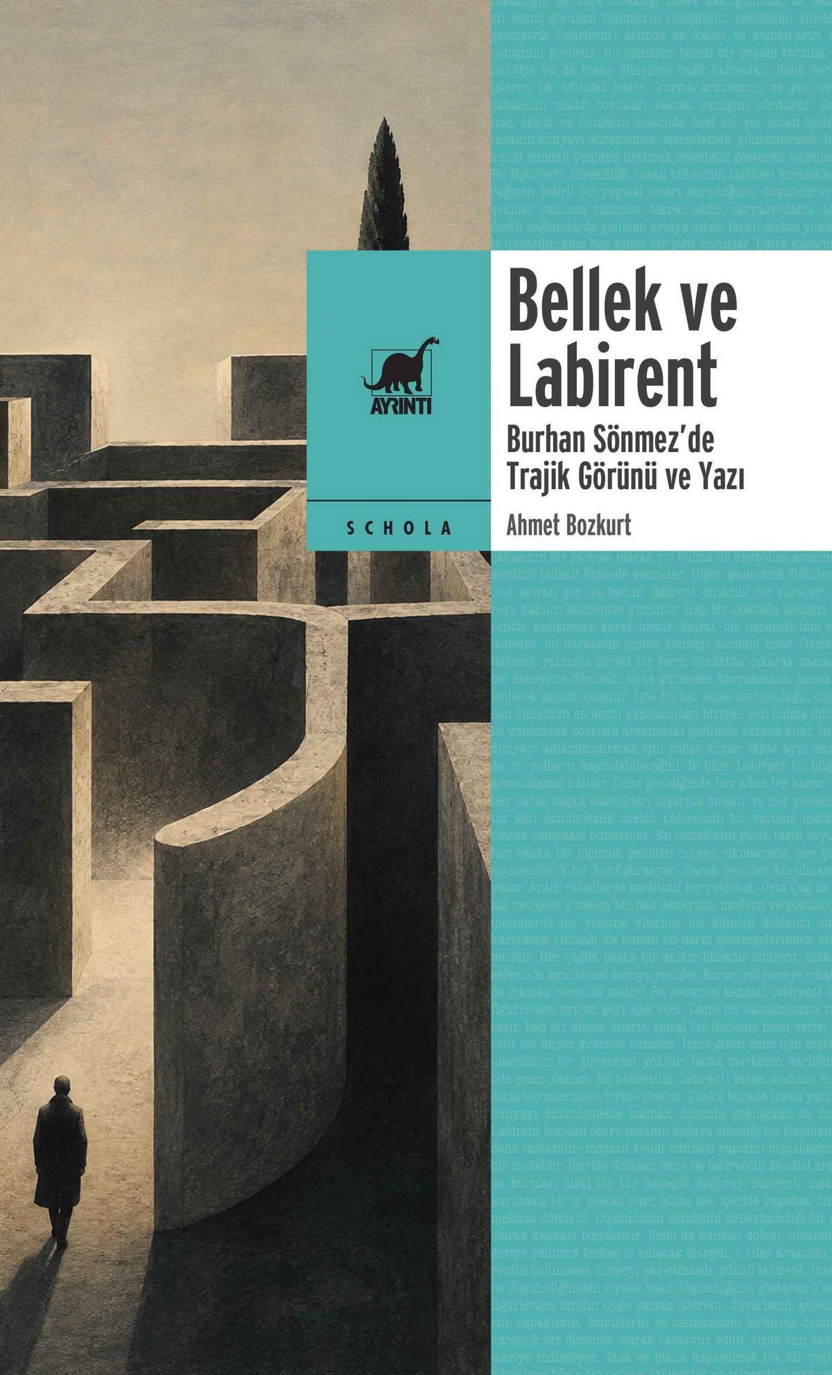 Bellek ve Labirent - Burhan Sönmez'de Trajik Görünü ve Yazı – Ayrıntı Yayınları kitap kapağı