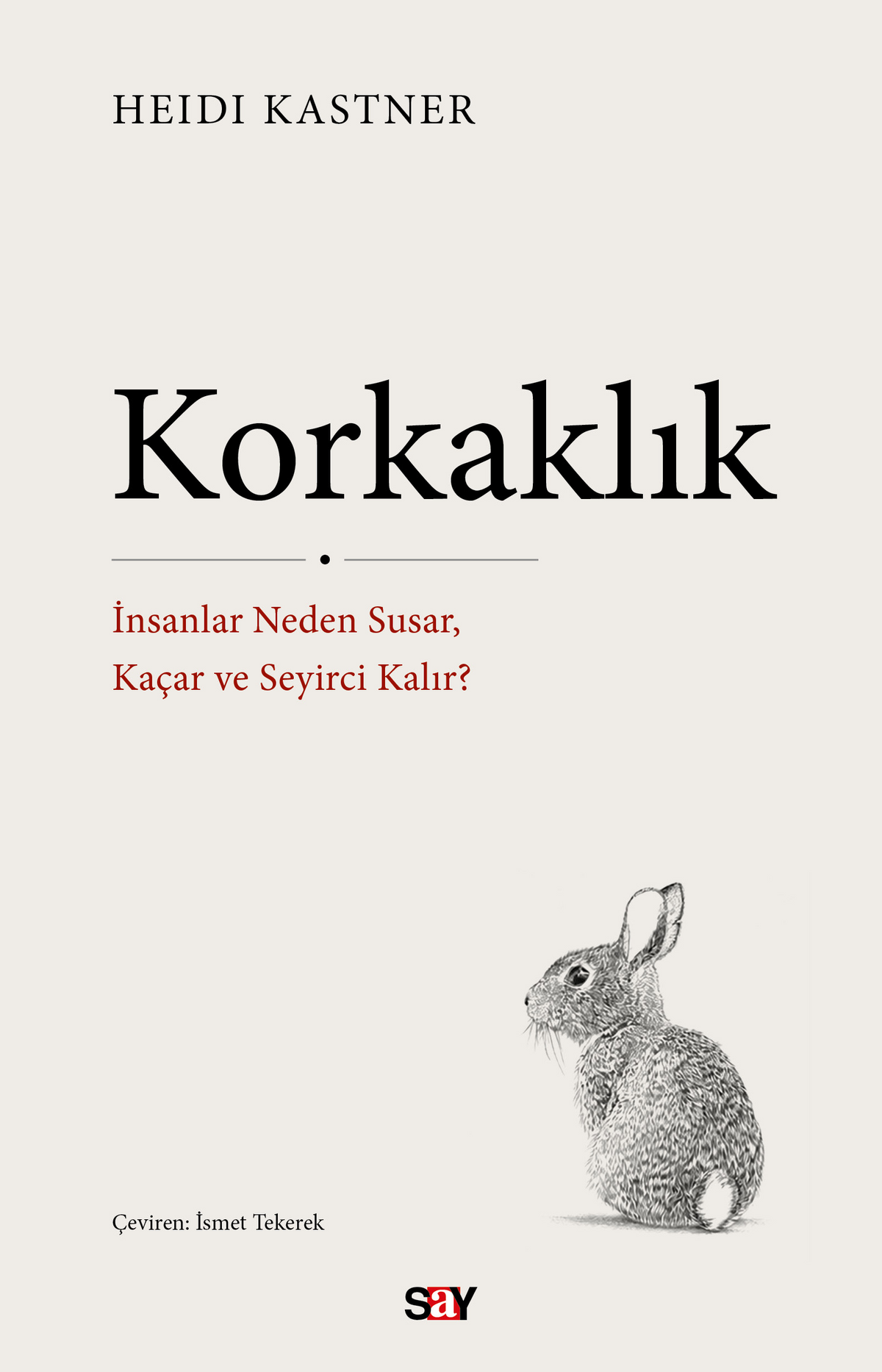 Korkaklık – Say Yayınları kitap kapağı