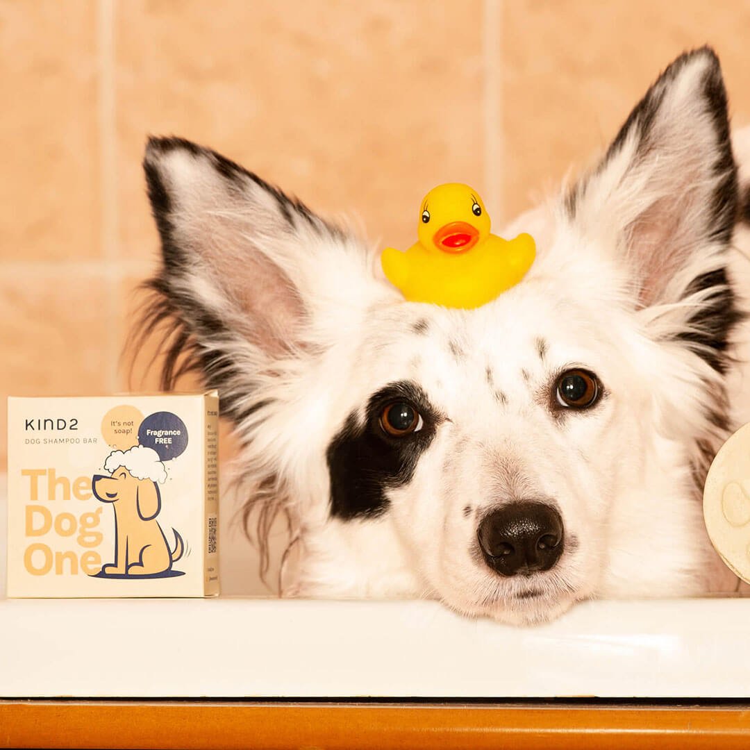 Fragrance Free Dog Shampoo Bar Bundle - mezetto