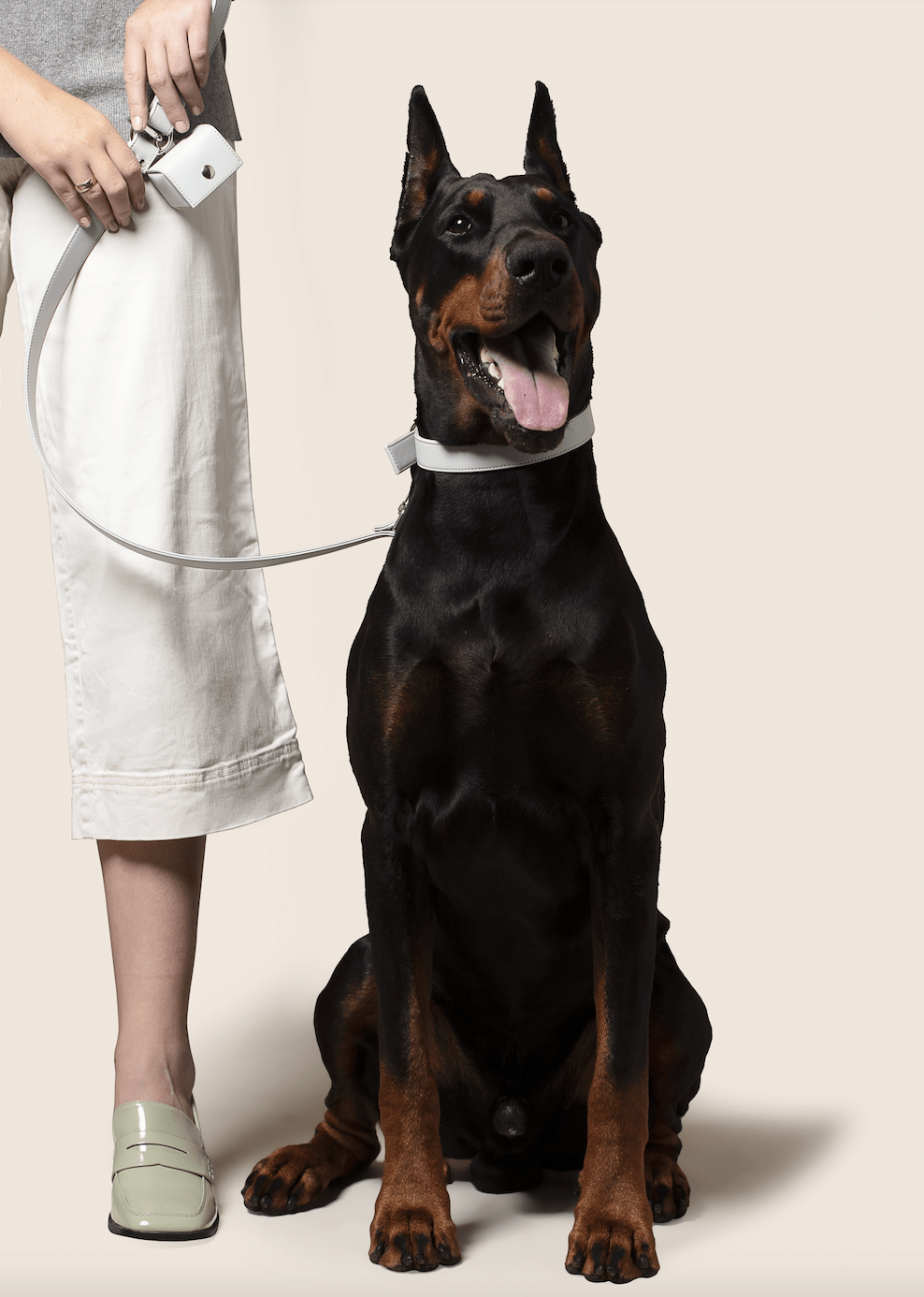 Ice blue vegan apple leather dog collar - mezetto