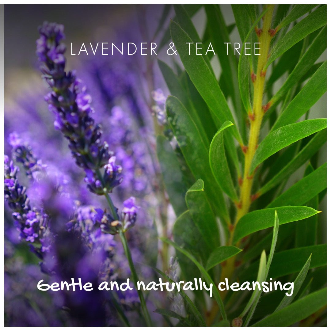 Conditioner Bar - Lavender & Tea Tree - mezetto Friendly Soap Friendly Soap
