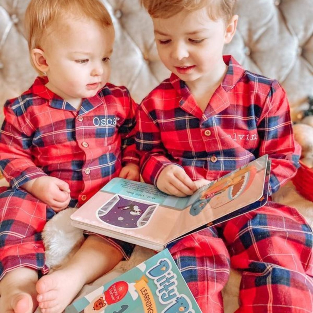 Ditty Bird Learning Songs Book - mezetto ebebek ebebek