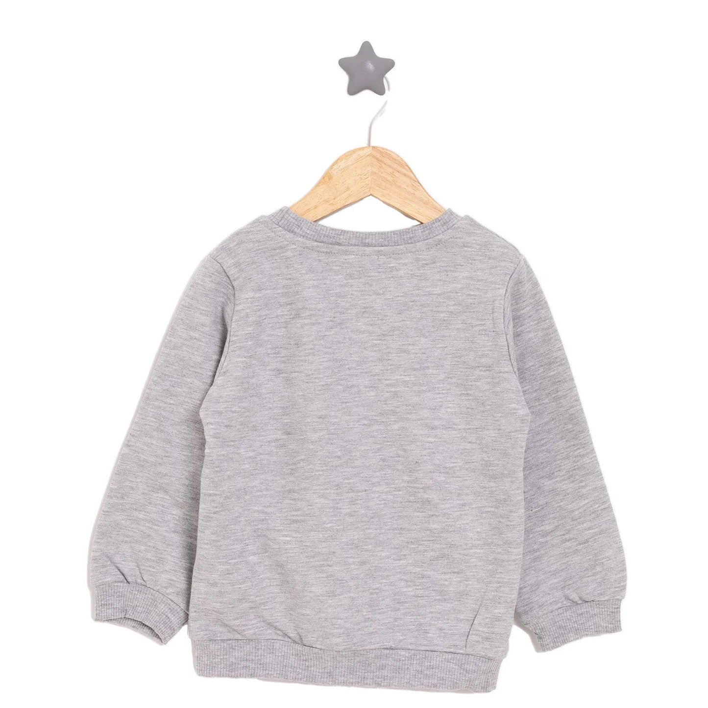 HelloBaby Basic Low Raised Dinokater Printed Sweatshirt - Grey Melange - mezetto ebebek ebebek