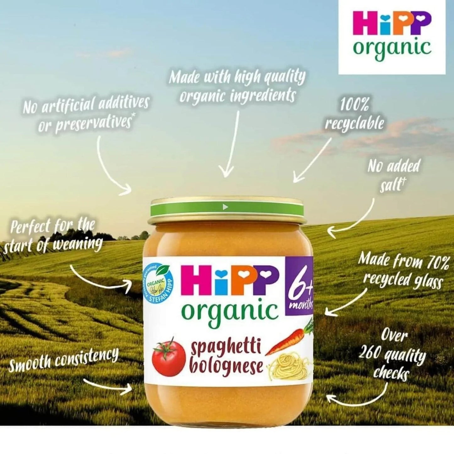 HiPP Organic Spaghetti Bolognese Baby Food Jar 6+ months 125g - mezetto ebebek ebebek