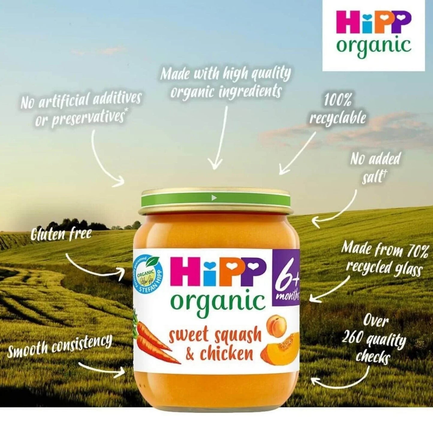 HiPP Organic Sweet Squash & Chicken Baby Food Jar 6+ months 125g - mezetto ebebek ebebek