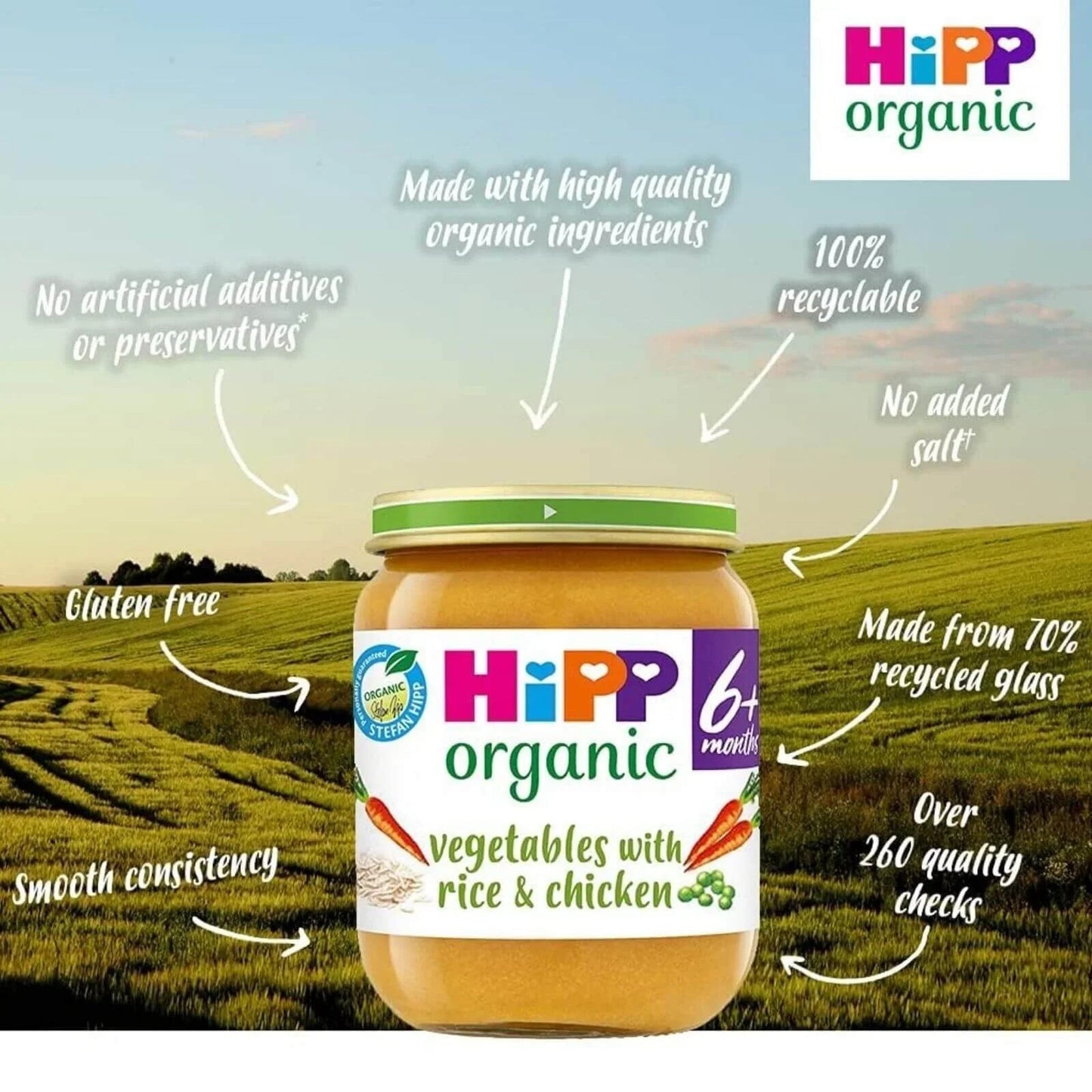 HiPP Organic Vegetables with Rice & Chicken Baby Food Jar 6+ months 125g - mezetto ebebek ebebek