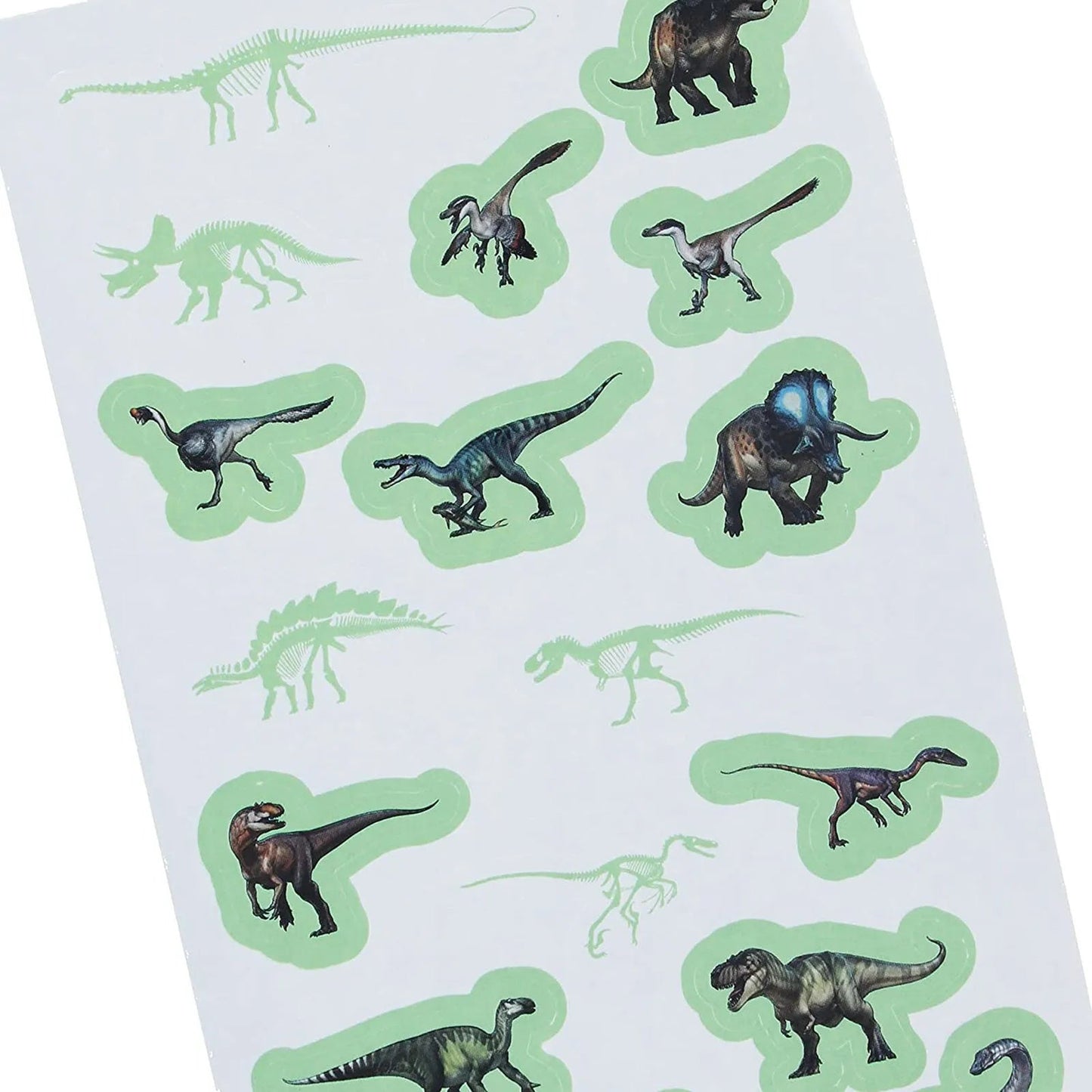 National History Museum Glow in the Dark Stickers - mezetto ebebek ebebek