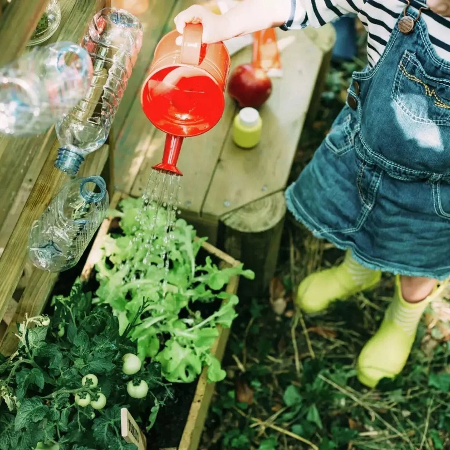 Plum Discovery Mud Pie Kitchen - mezetto ebebek ebebek