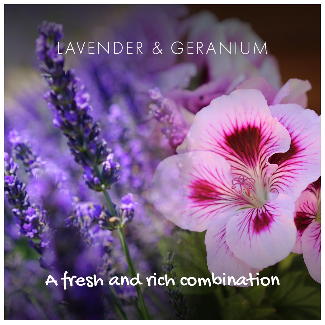 Shampoo Bar - Lavender & Geranium - mezetto Friendly Soap Friendly Soap
