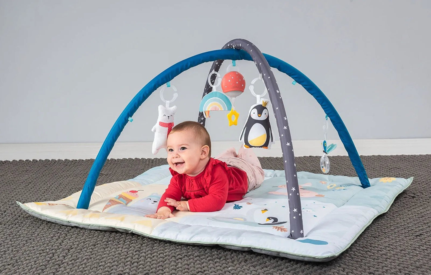 Taf Toys North Pole 4 Seasons Gym - mezetto ebebek ebebek