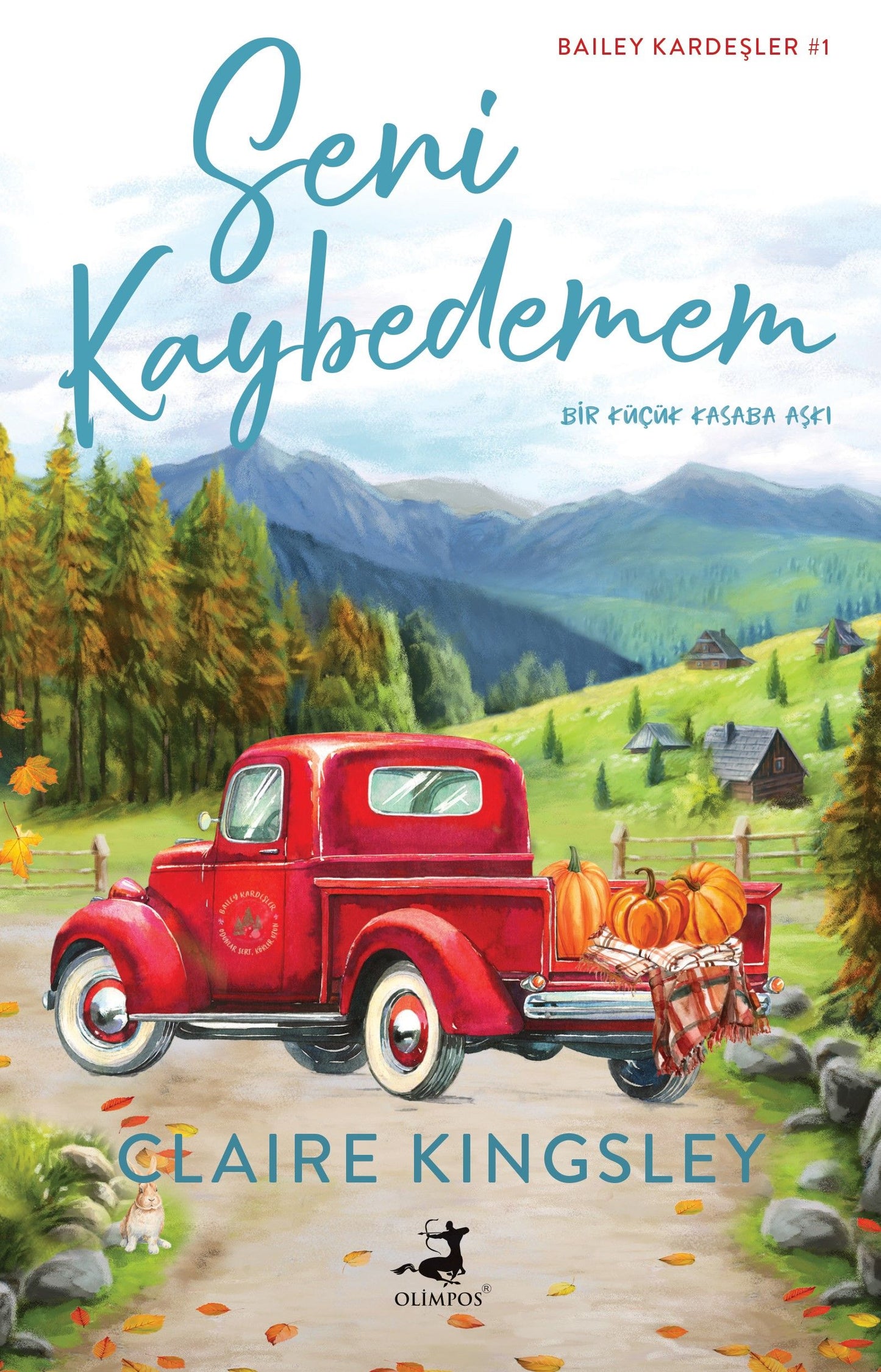 Seni Kaybedemem - Olimpos Yayınları Kitap