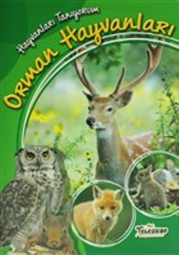 Hayvanları Tanıyorum - Orman Hayvanları - Teleskop Popüler Bilim Kitap