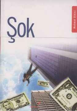 Şok - Berikan Yayınları Kitap