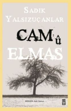 Cam ü Elmas Sadık Yalsızuçanlar Türkçe kitap kapağı