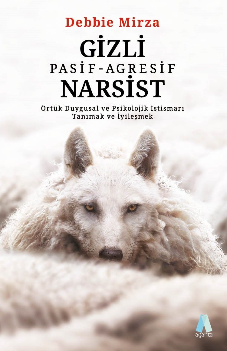 Gizli Pasif-Agresif Narsist - Aganta Kitap