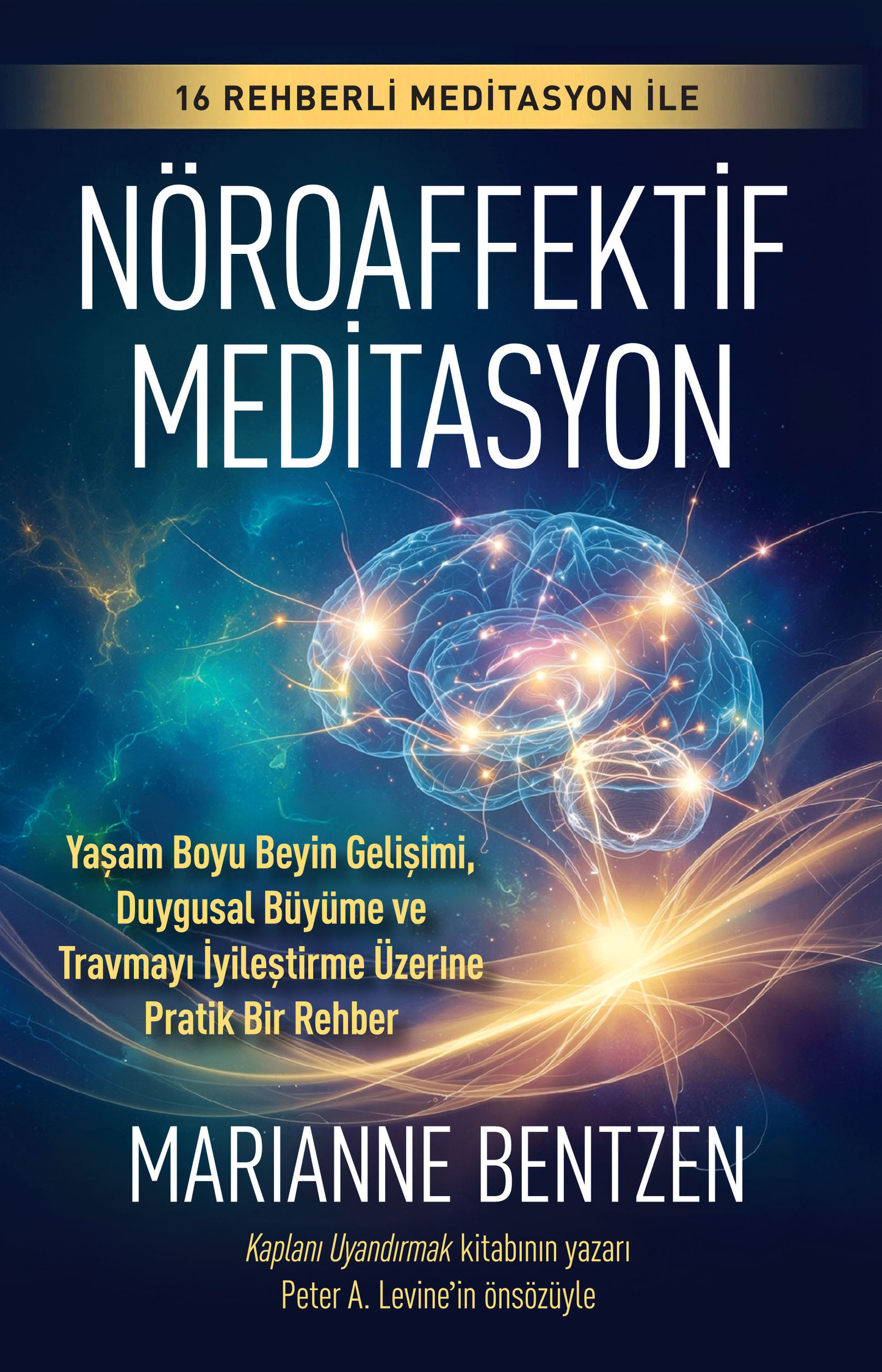 Nöroaffektif Meditasyon - Butik Yayınları Kitap