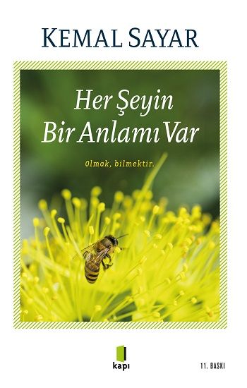 Her Şeyin Bir Anlamı Var - Kapı Yayınları Kitap
