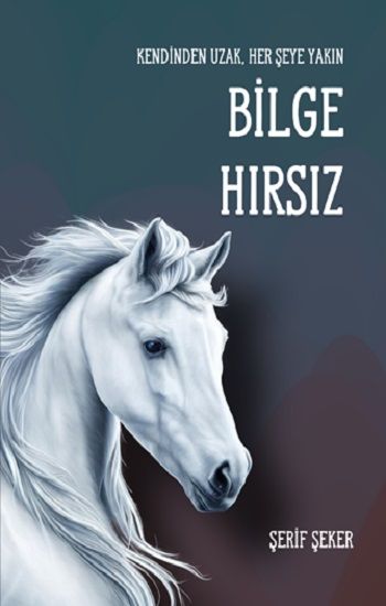 Bilge Hırsız - Luna Yayınları Kitap