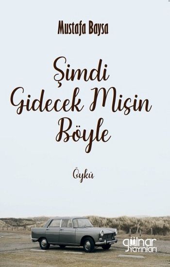 Şimdi Gidecek Misin Böyle - Gülnar Yayınları Kitap