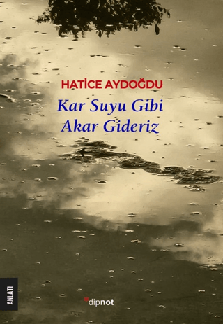Kar Suyu Gibi Akar Gideriz - Dipnot Yayınları Kitap