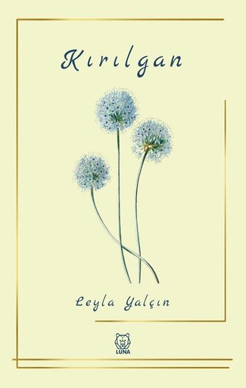 Kırılgan - Luna Yayınları Kitap