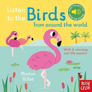 Listen to the Birds - Nosy Crow Yayınevi Kitap