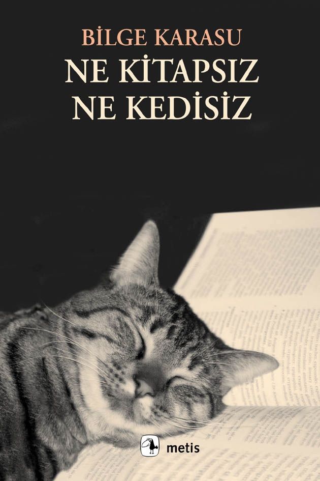 Ne Kitapsız Ne Kedisiz - Metis Yayınları Kitap