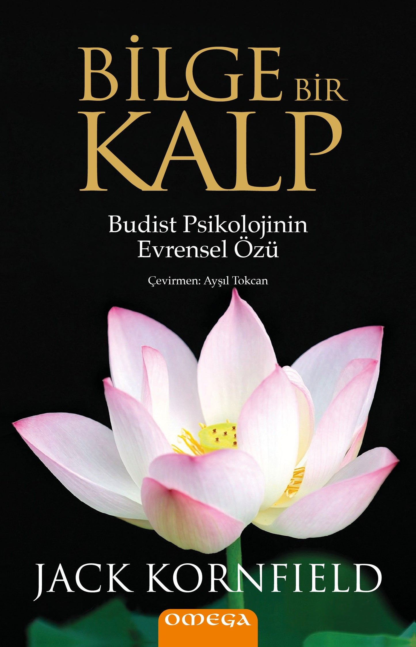 Bilge Bir Kalp - Omega Kitap