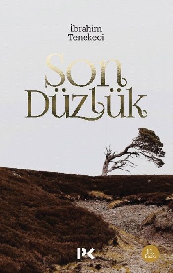 Son Düzlük İbrahim Tenekeci Türkçe kitap kapağı