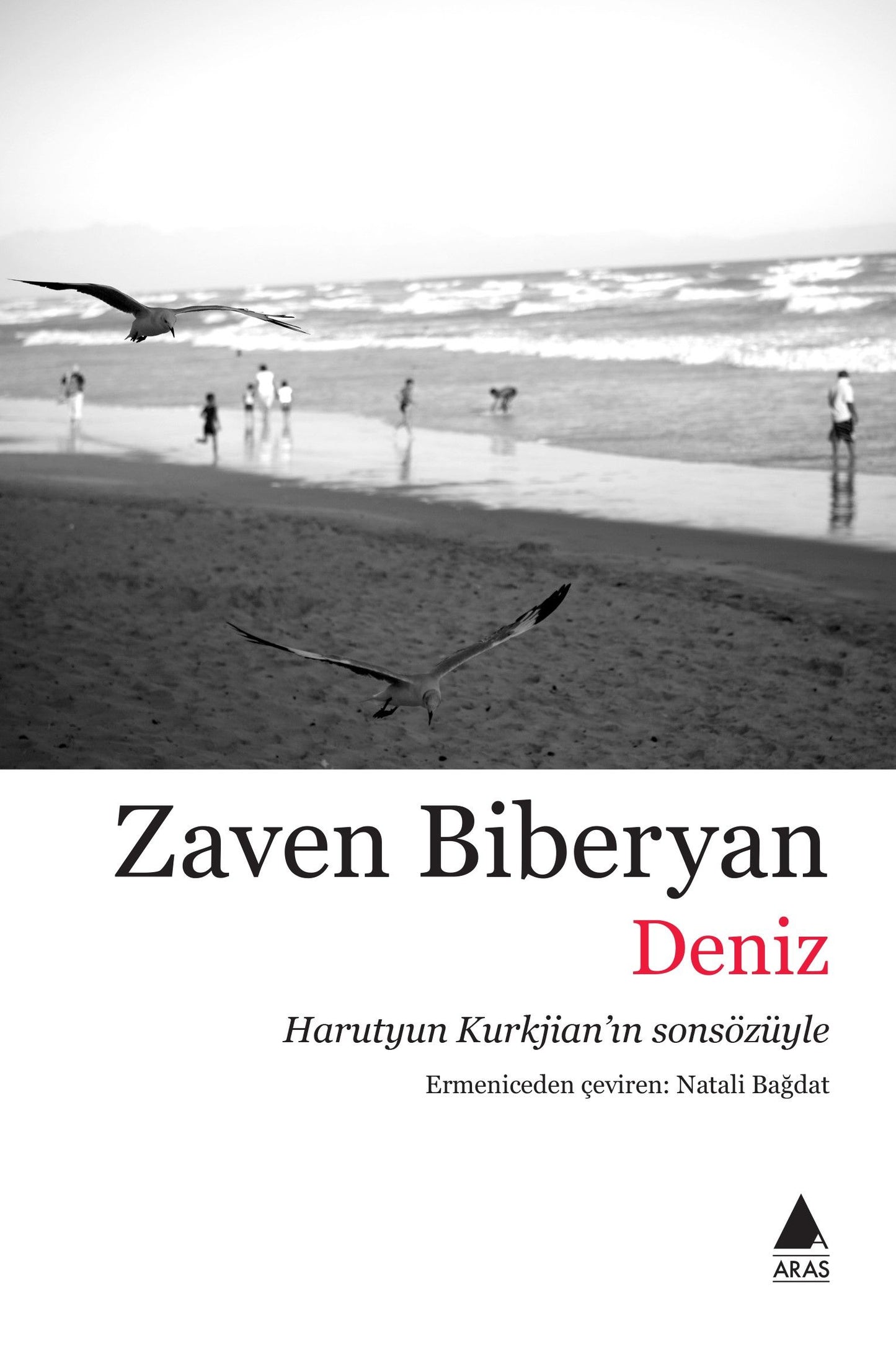 Deniz - Aras Yayınları Kitap