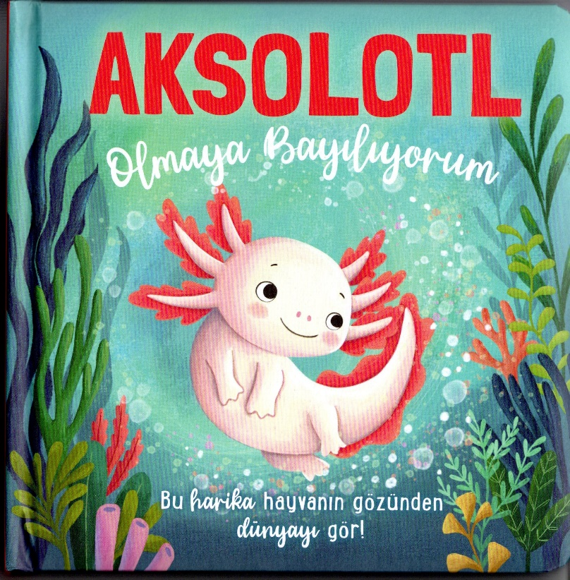 Aksolotl Olmaya Bayılıyorum - Net Çocuk Yayınları Kitap
