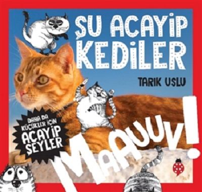 Şu Acayip Kediler - Maauuv! - Uğurböceği Yayınları Kitap