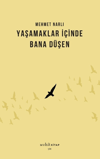 Yaşamaklar İçinde Bana Düşen - Muhit Kitap Kitap