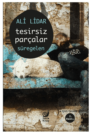 Tesirsiz Parçalar Süregelen - Sakin Kitap Kitap