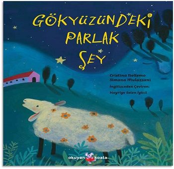 Gökyüzündeki Parlak Şey - Okuyan Koala Kitap