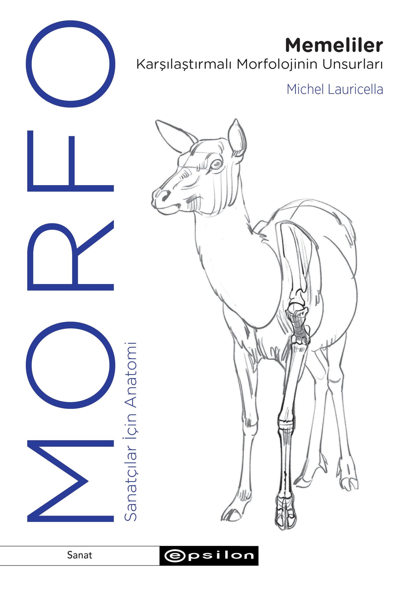 Morfo - Memeliler Karşılaştırmalı Morfolojinin Unsurları - Epsilon Yayınları Kitap