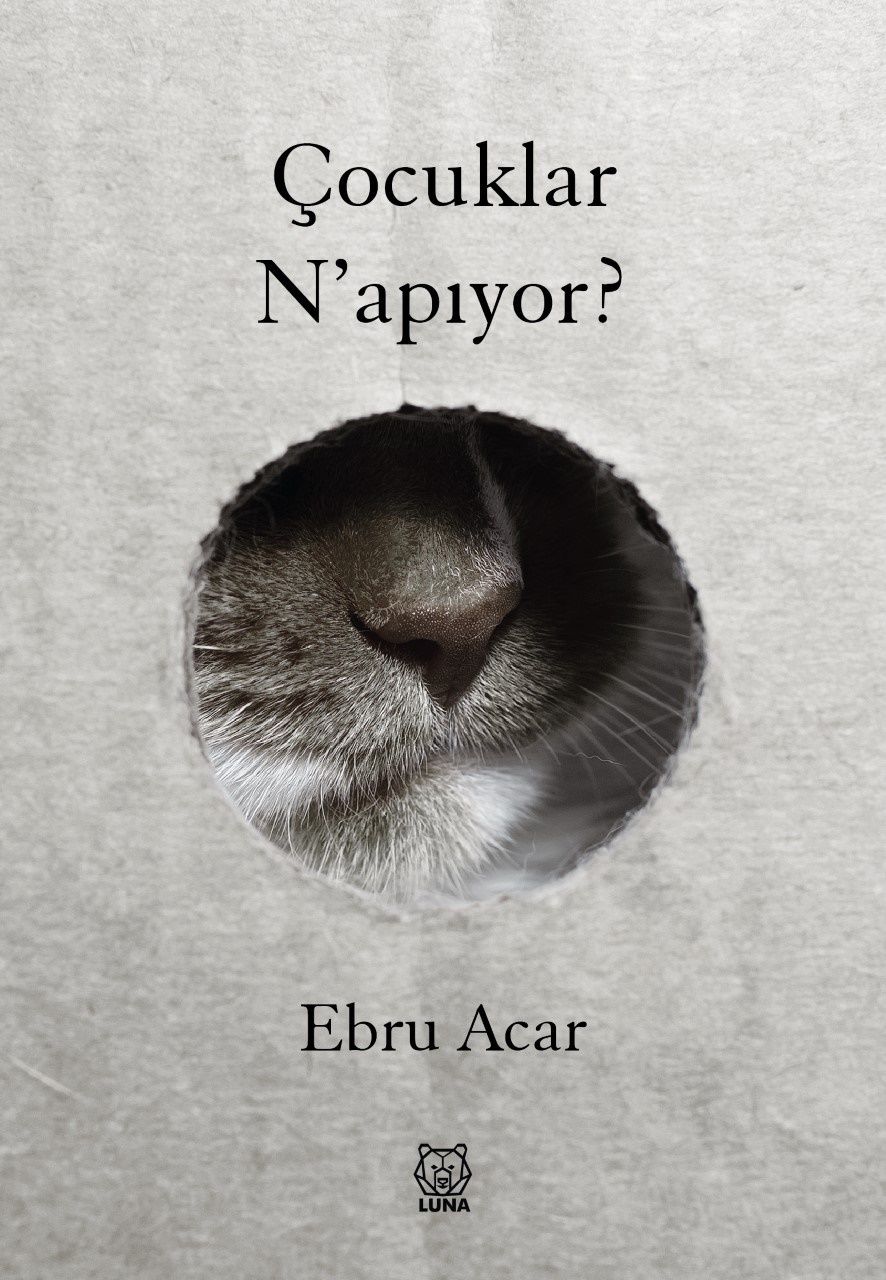 Çocuklar Napıyor? - Luna Yayınları Kitap