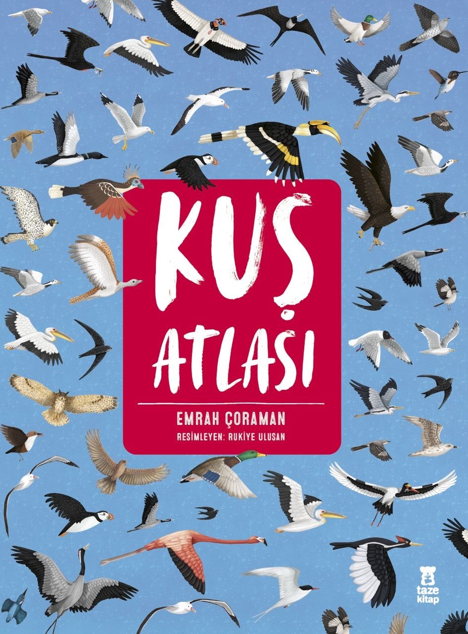 Kuş Atlası (Ciltli) - Taze Kitap Kitap