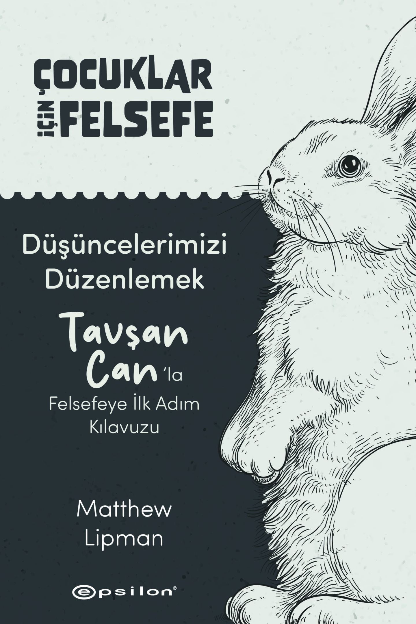Düşüncelerimizi Düzenlemek: Tavşan Can’la Felsefeye İlk Adım Kılavuzu - Epsilon Yayınları Kitap