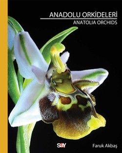 Anadolu Orkideleri - Say Yayınları Kitap