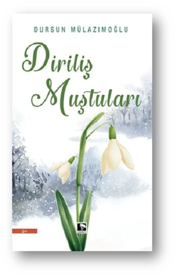 Diriliş Muştuları - Çınaraltı Yayınları Kitap