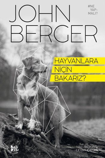 Hayvanlara Niçin Bakarız? - Delidolu Kitap