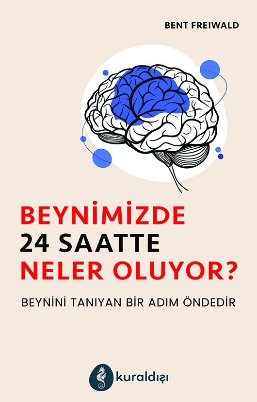 Beynimizde 24 Saatte Neler Oluyor? - Kuraldışı Yayınevi Kitap