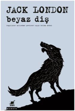 Beyaz Diş - Ayrıntı Yayınları Kitap
